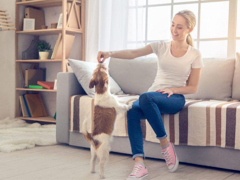 Women is playing with her dog in her house