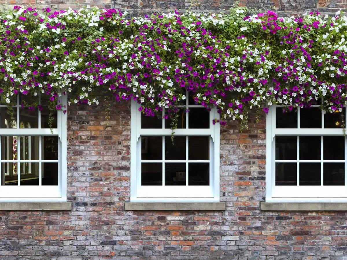 Sash Windows Winterbourne